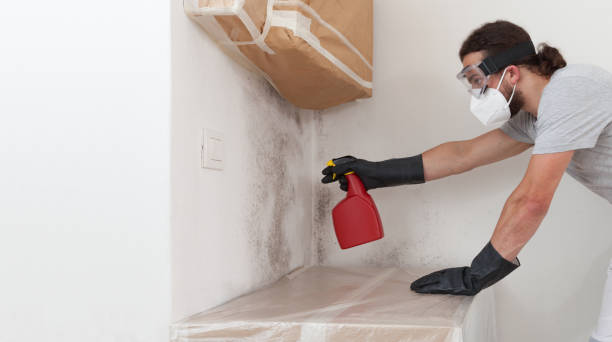 Professional Mold Testing technician working in Medford, NY