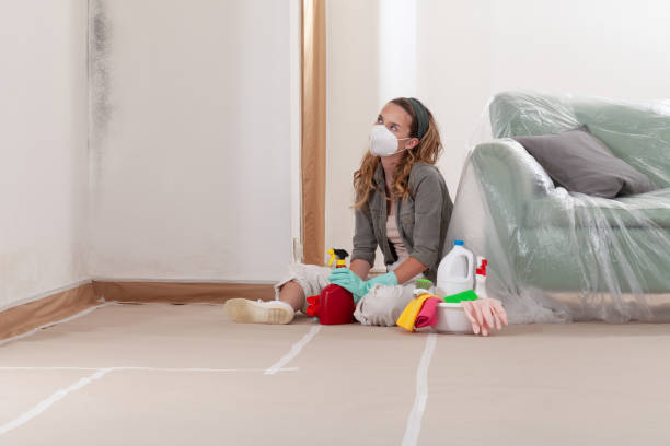 Reliable Mold Testing contractor in Medford, NY by WQB Mold Removal